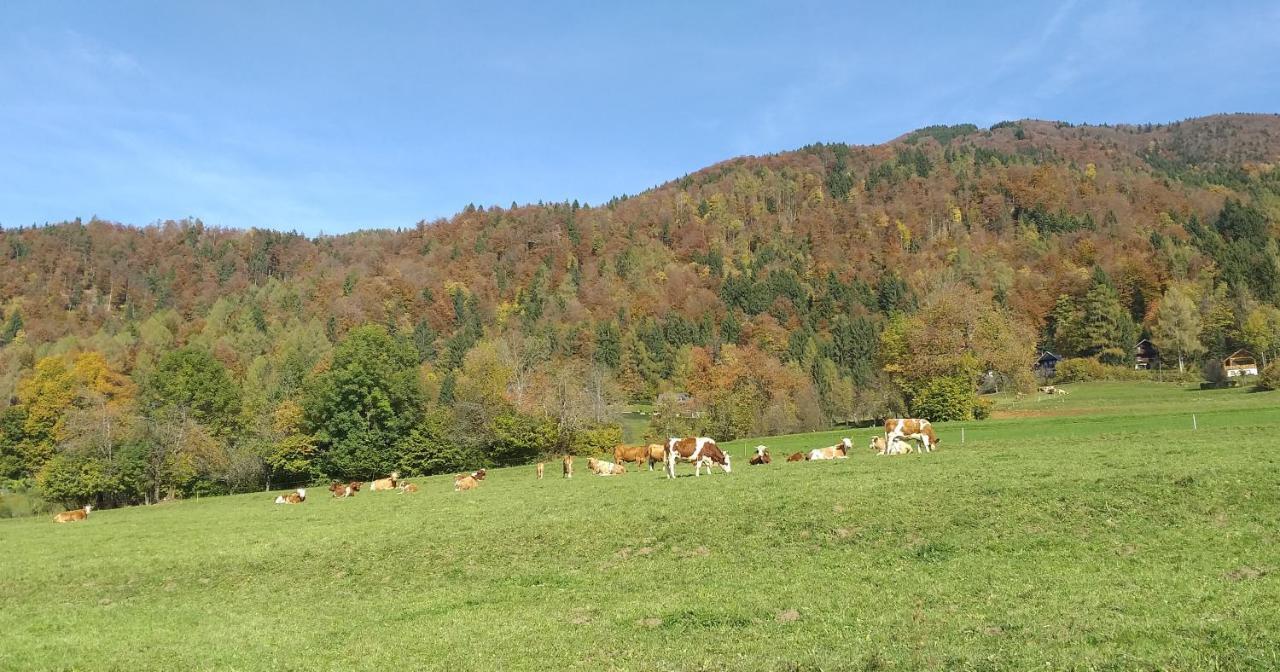 Apatmaji Pika 2 Apartman Cerklje na Gorenjskem Kültér fotó